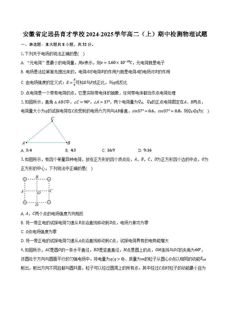 安徽省定远县育才学校2024-2025学年高二（上）期中检测物理试题第1页
