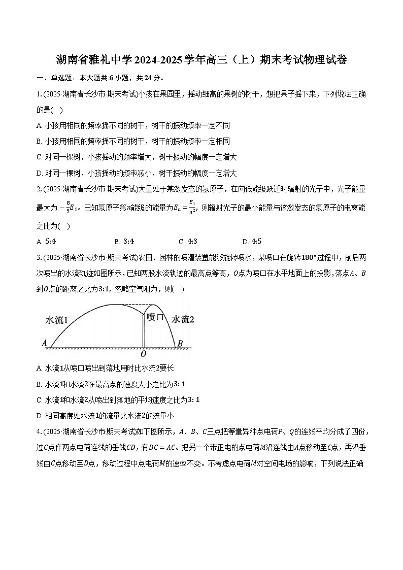 湖南省雅礼中学2024-2025学年高三（上）期末考试物理试卷第1页