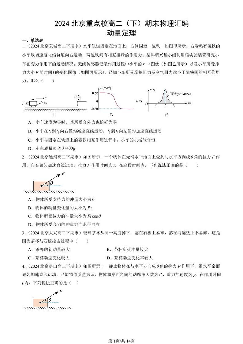2024北京重点校高二（下）期末真题物理汇编：动量定理第1页