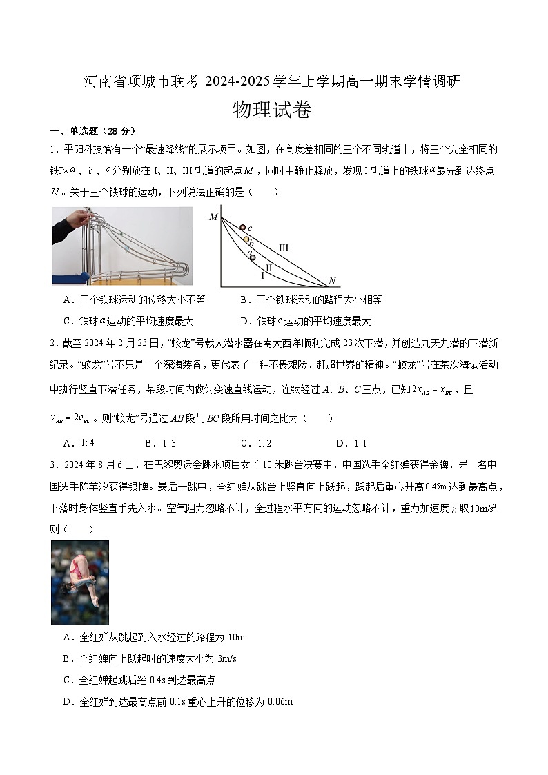 河南省项城市联考2024-2025学年上学期高一物理期末学情调研试卷第1页