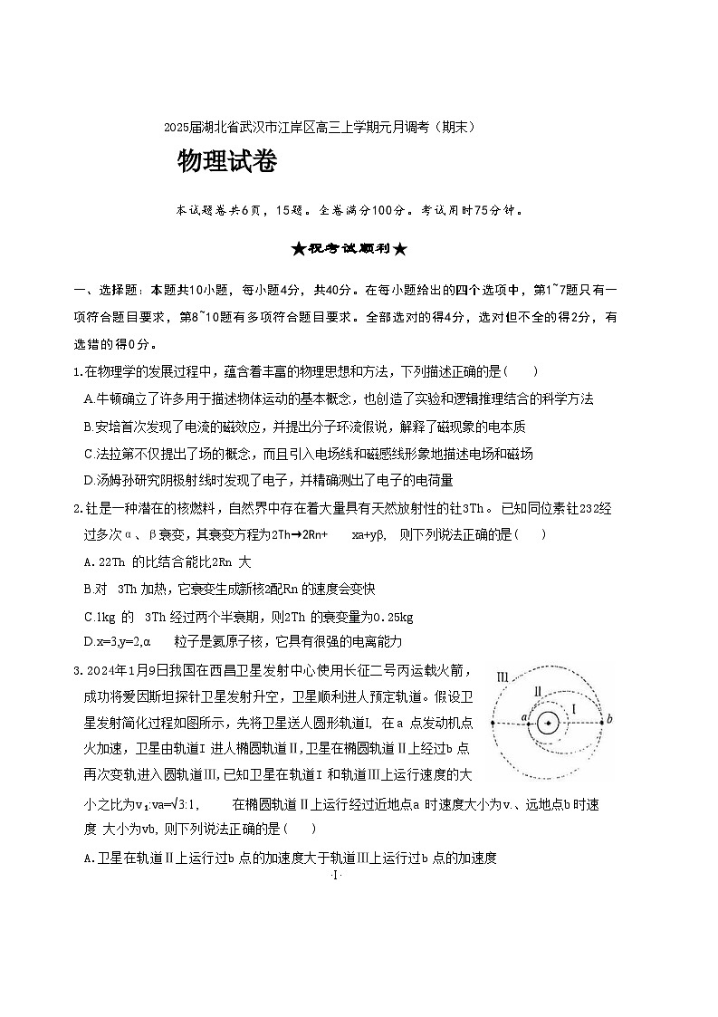 2025届湖北省武汉市江岸区高三上学期元月调考（期末）物理试题（解析版）第1页