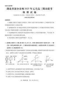 湖北省部分市州2024-2025学年高三上学期元月期末联考物理试卷（Word版附答案）