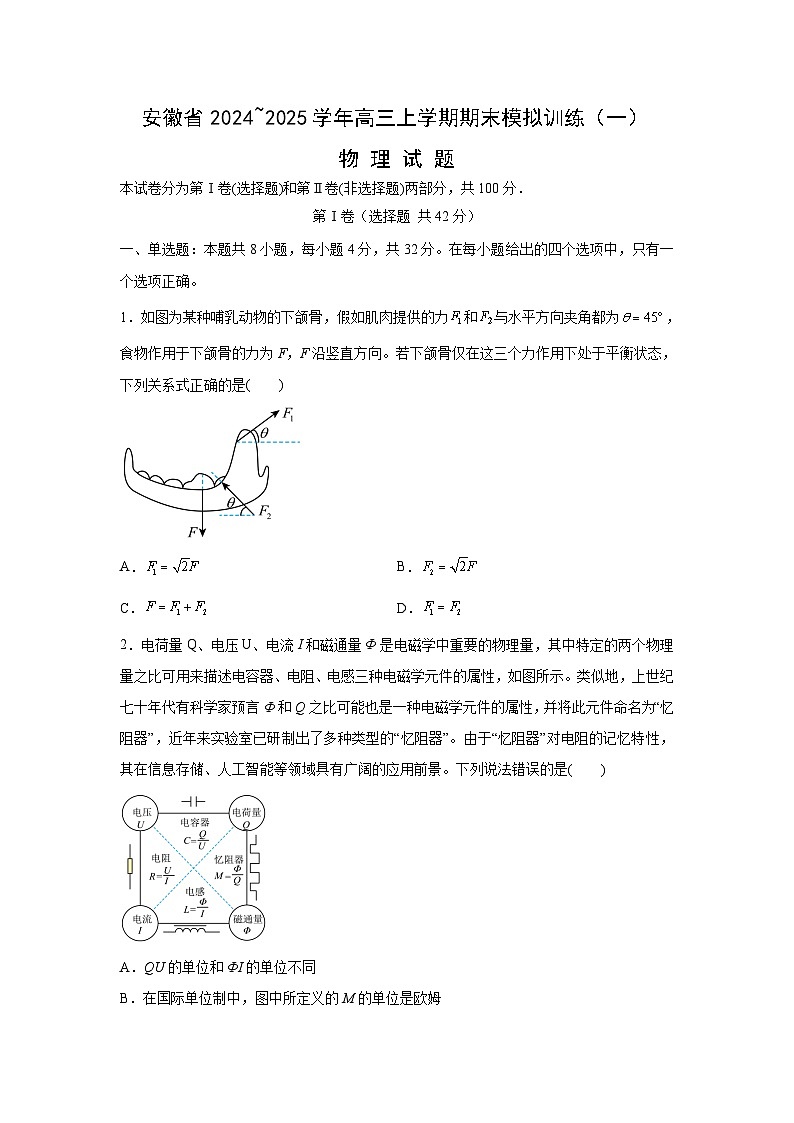2024~2025学年安徽省合肥市普通高中高三上学期期末模拟训练(一)物理试卷（解析版）第1页