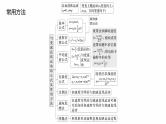 第一篇　专题一　第2讲　匀变速直线运动　牛顿运动定律--2025年高考物理大二轮复习课件+讲义+专练