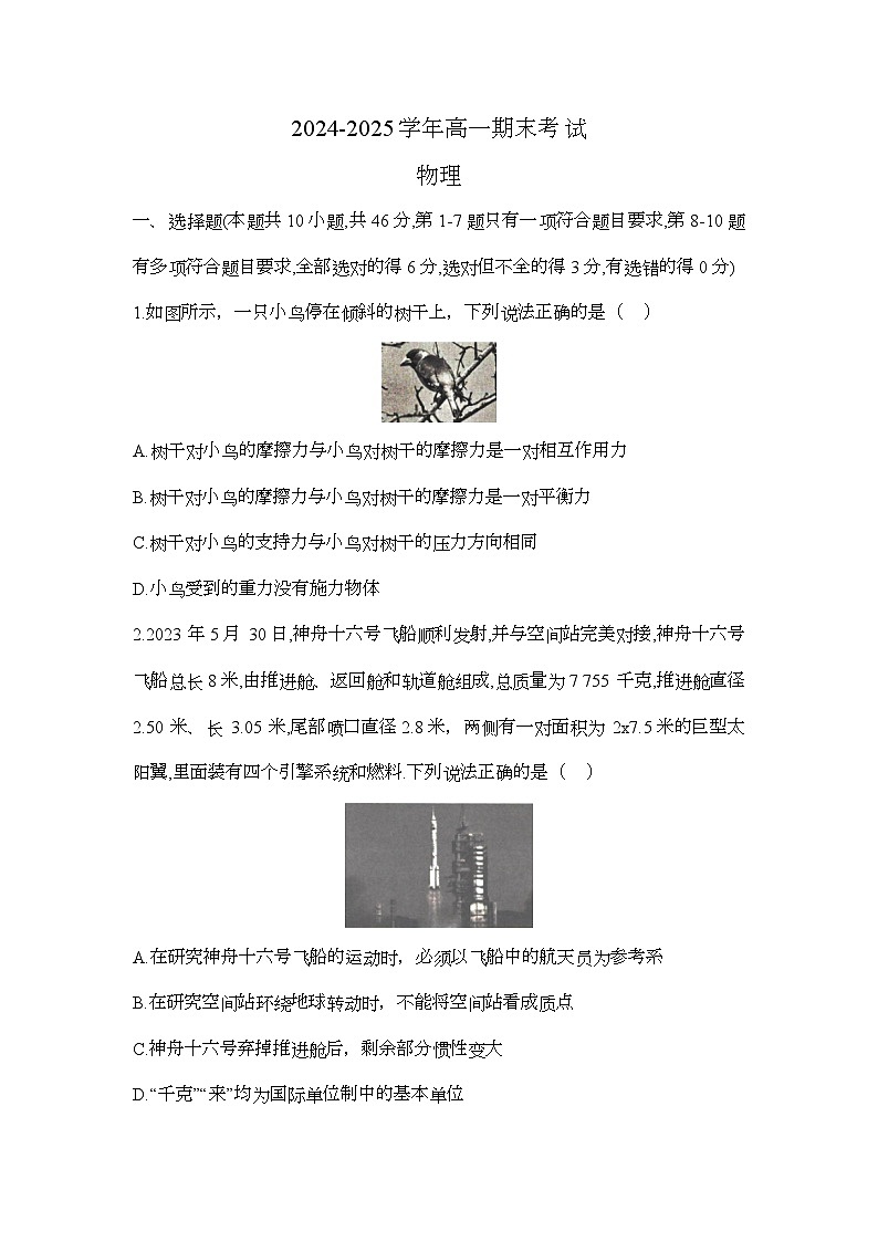 河北省邢台市2024-2025学年高一上学期1月期末联考 物理试题第1页