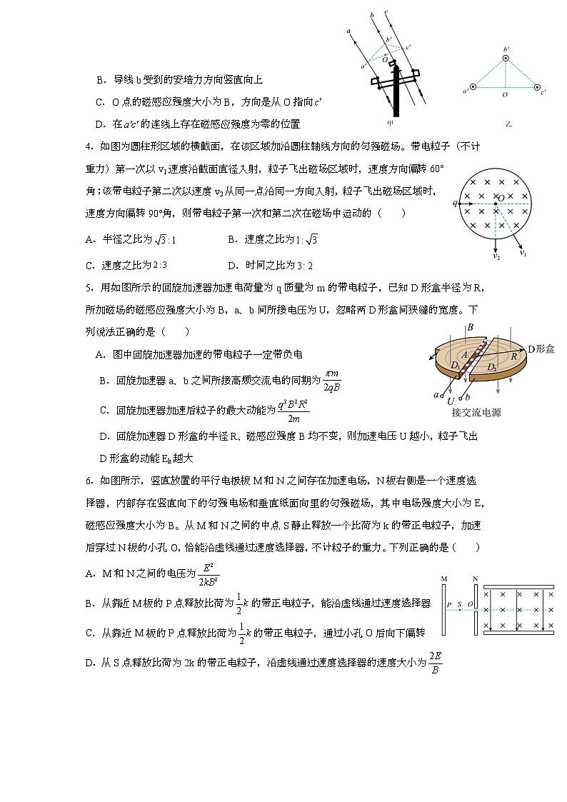 四川省眉山市东坡区多校2024-2025学年高二上学期1月期末考试 物理试题第2页