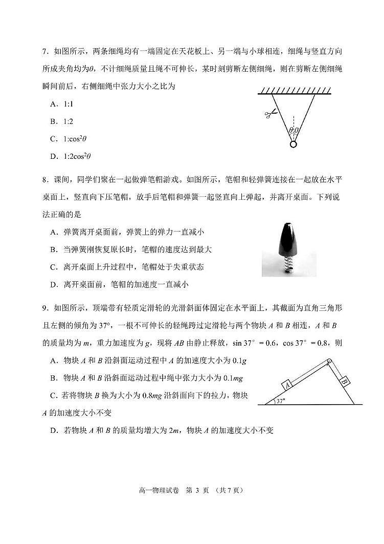 辽宁省大连市2024-2025学年高一上学期期末考试物理试卷第3页