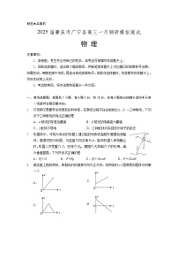 2025届广东省肇庆市广宁县高三上学期1月调研模拟测试物理试卷