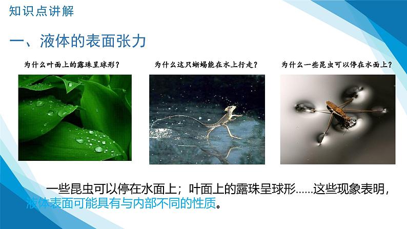 2.5  液体（课件）-2024-2025学年高二下学期物理（人教版2019选择性必修第三册）第7页