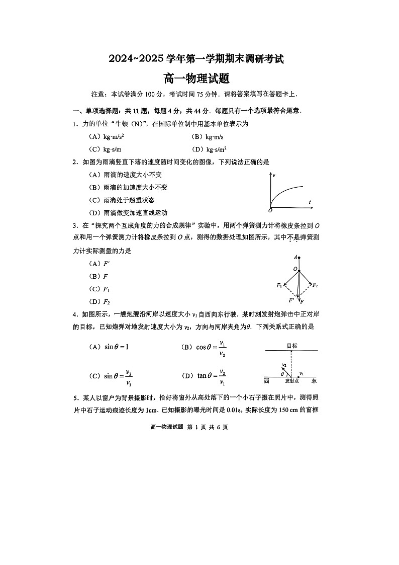 2024-2025学年江苏省连云港市高一上学期期末调研考试（图片版）物理试卷第1页