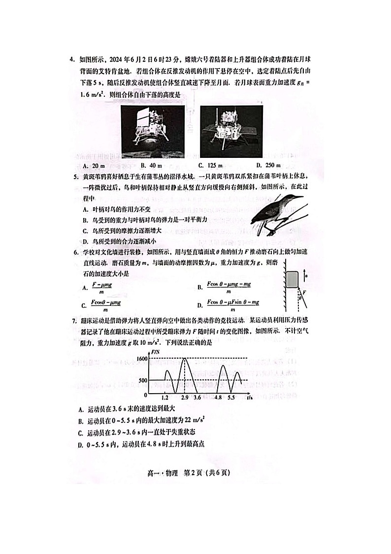 2024-2025学年广东省汕尾市高一上学期期末教学质量监测（图片版）物理试卷第2页