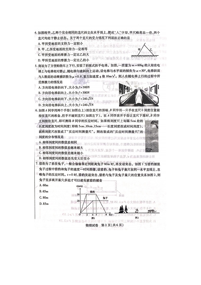 2024-2025学年内蒙古包头市高一上学期期末教学质量检测（图片版）物理试卷第2页