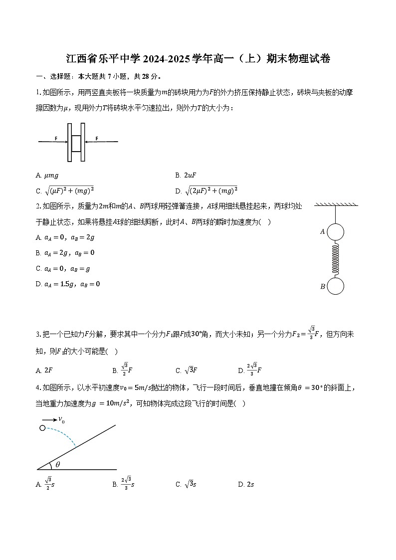 江西省乐平中学2024-2025学年高一（上）期末物理试卷第1页