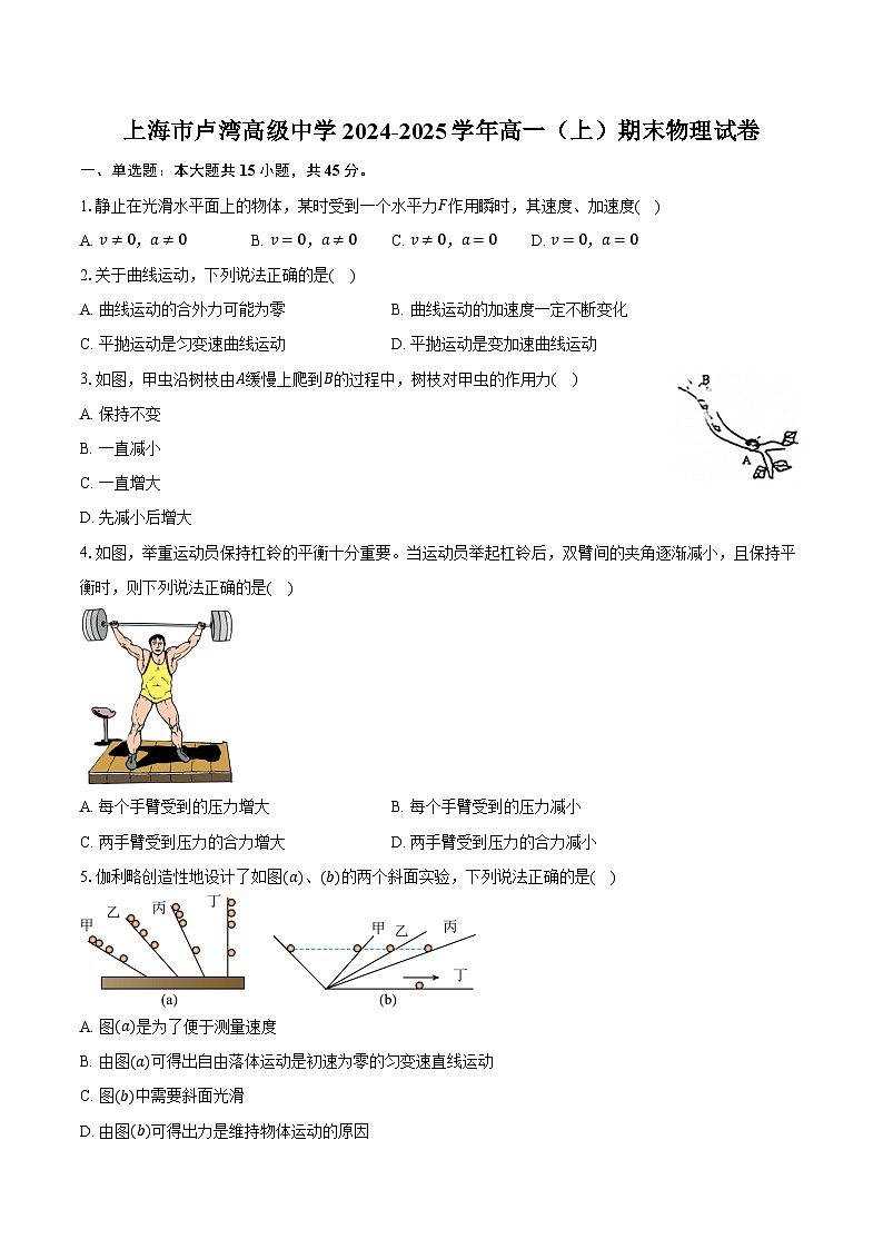 上海市卢湾高级中学2024-2025学年高一（上）期末物理试卷第1页