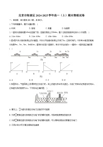 北京市海淀区2024-2025学年高一（上）期末物理试卷