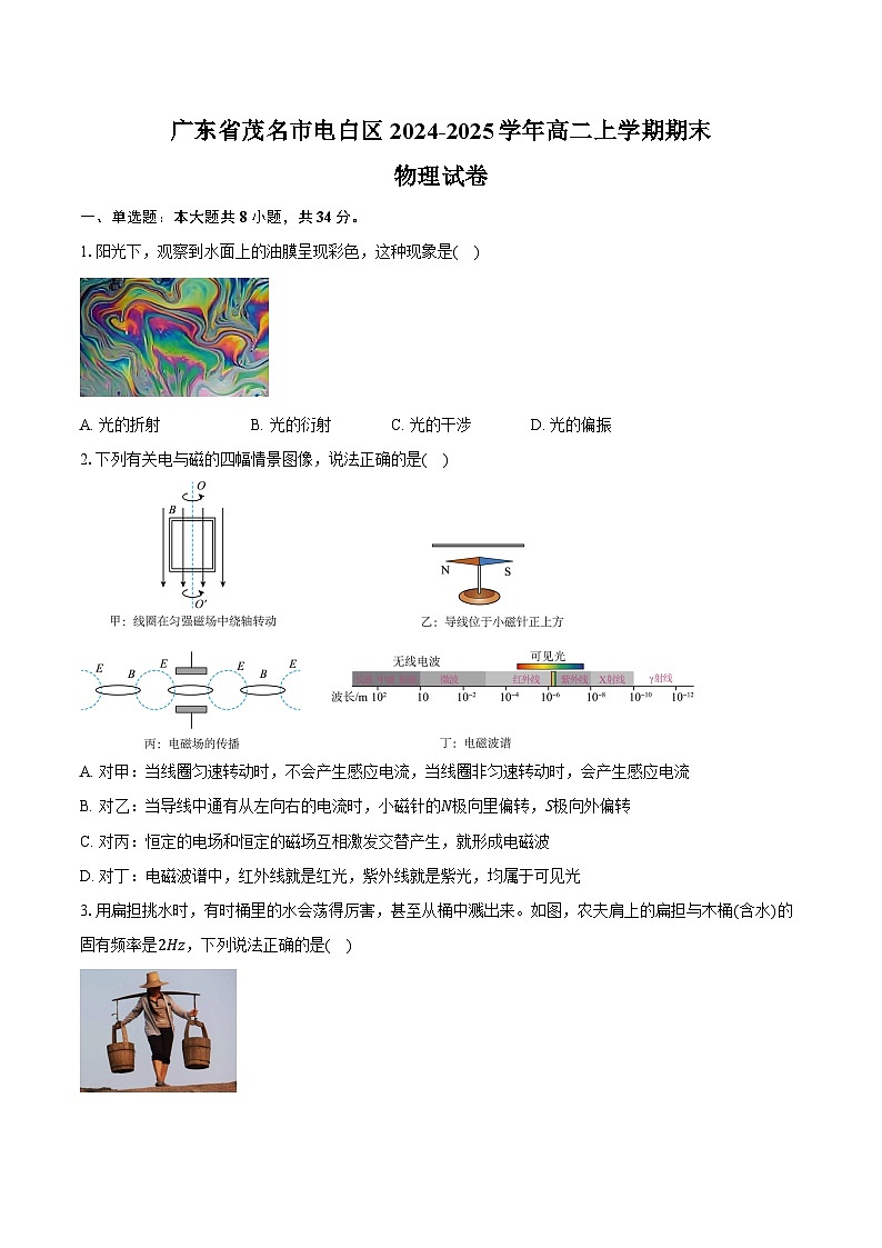 广东省茂名市电白区2024-2025学年高二上学期期末物理试卷（含解析）第1页