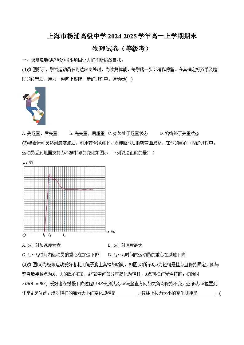 上海市杨浦高级中学2024-2025学年高一上学期期末物理试卷（等级考）（含解析）第1页