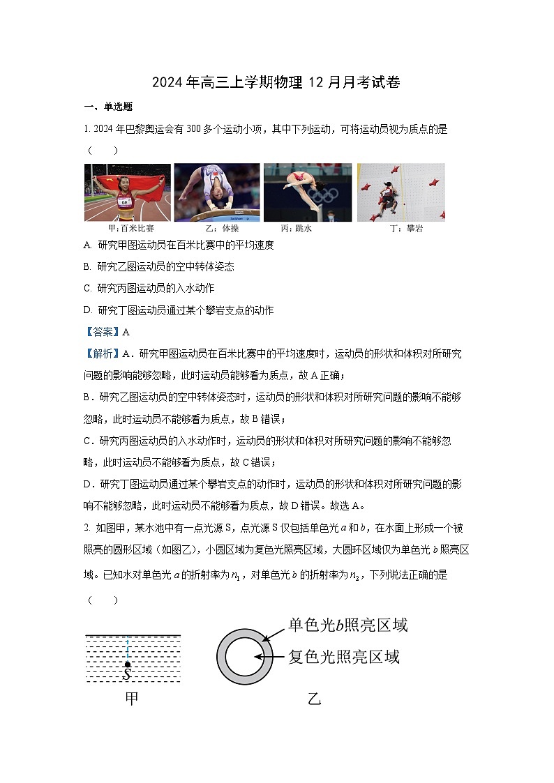 湖南省岳阳市临湘市2024-2025学年高三上学期12月月考物理试题（解析版）第1页