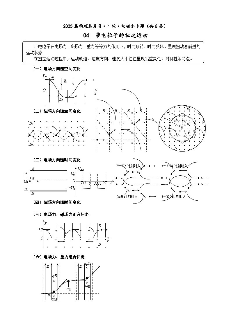 高三物理二轮 电磁小专题 04 带电粒子的扭走运动（教师版）第1页