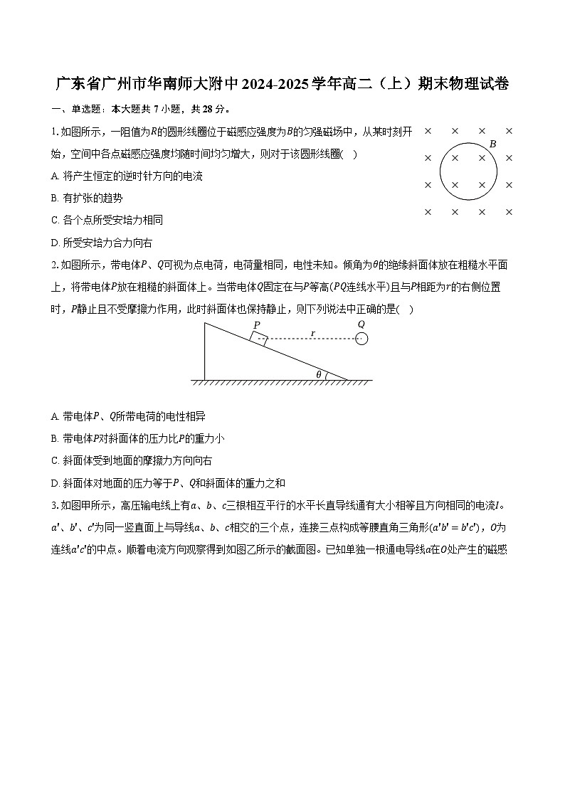 广东省广州市华南师大附中2024-2025学年高二（上）期末物理试卷-普通用卷第1页