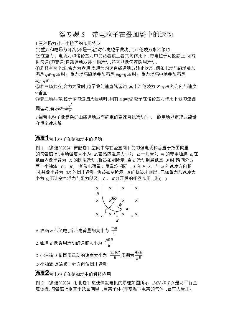 微专题5　带电粒子在叠加场中的运动 【正文】听课第1页