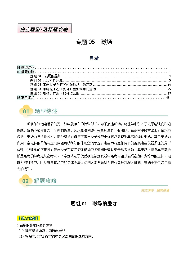 专题05 磁场（原卷版）第1页