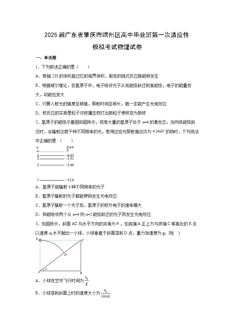 2025届广东省肇庆市端州区高中毕业班第一次适应性模拟考试物理试卷（解析版）第1页