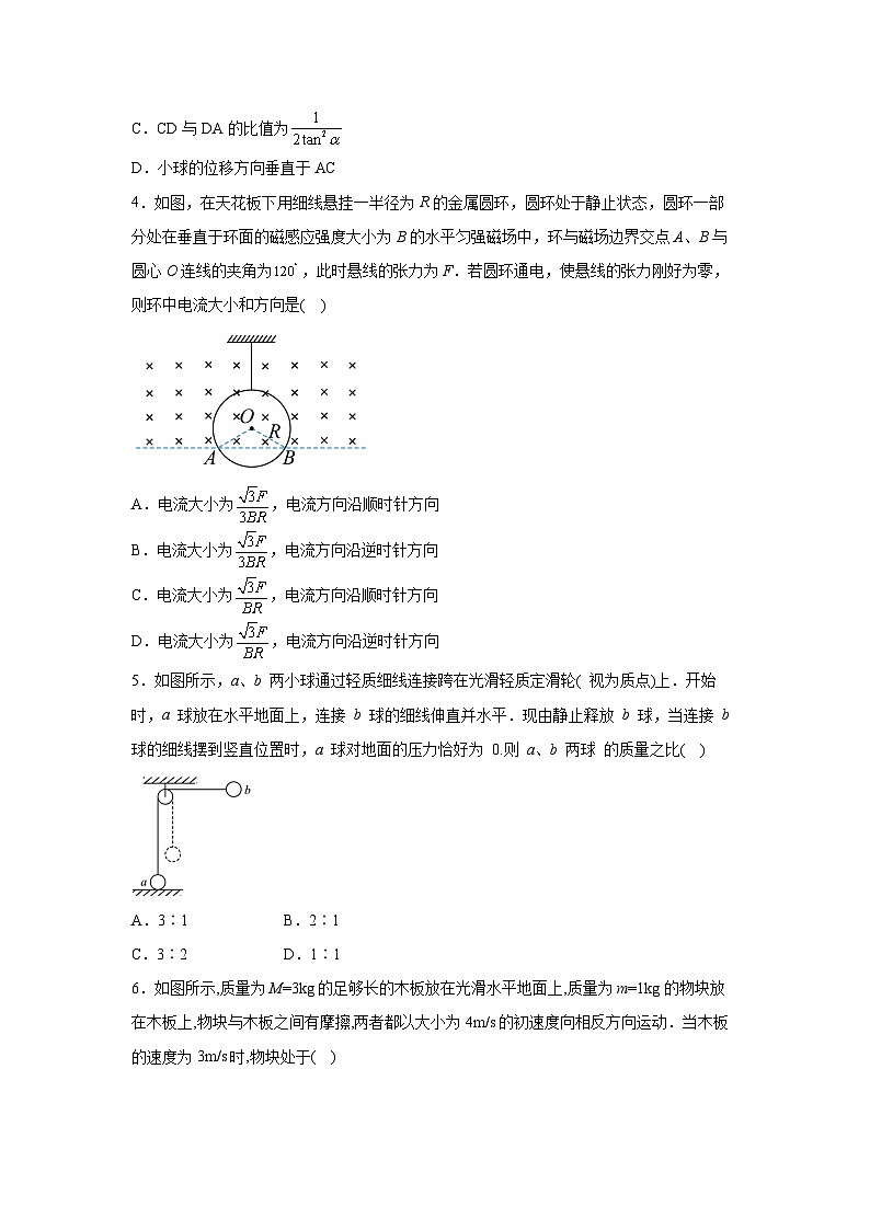 2025届广东省肇庆市端州区高中毕业班第一次适应性模拟考试物理试卷（解析版）第2页
