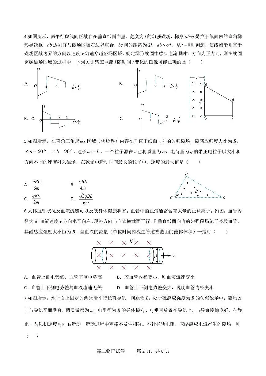 2024-2025学年下学期湖北省汉阳一中、江夏一中、洪山高中高二2月联考物理试卷第2页