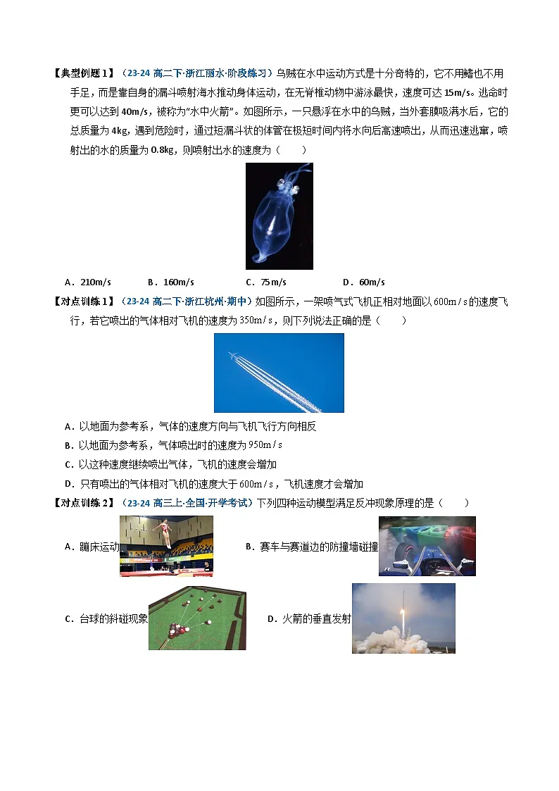 人教版高中物理(选择性必修一)同步讲与练1.6 反冲现象 火箭（原卷版）第3页