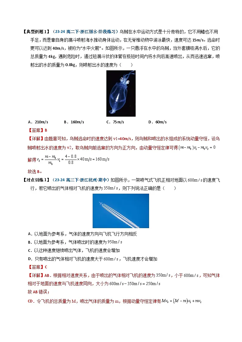 人教版高中物理(选择性必修一)同步讲与练1.6 反冲现象 火箭 （解析版）第3页