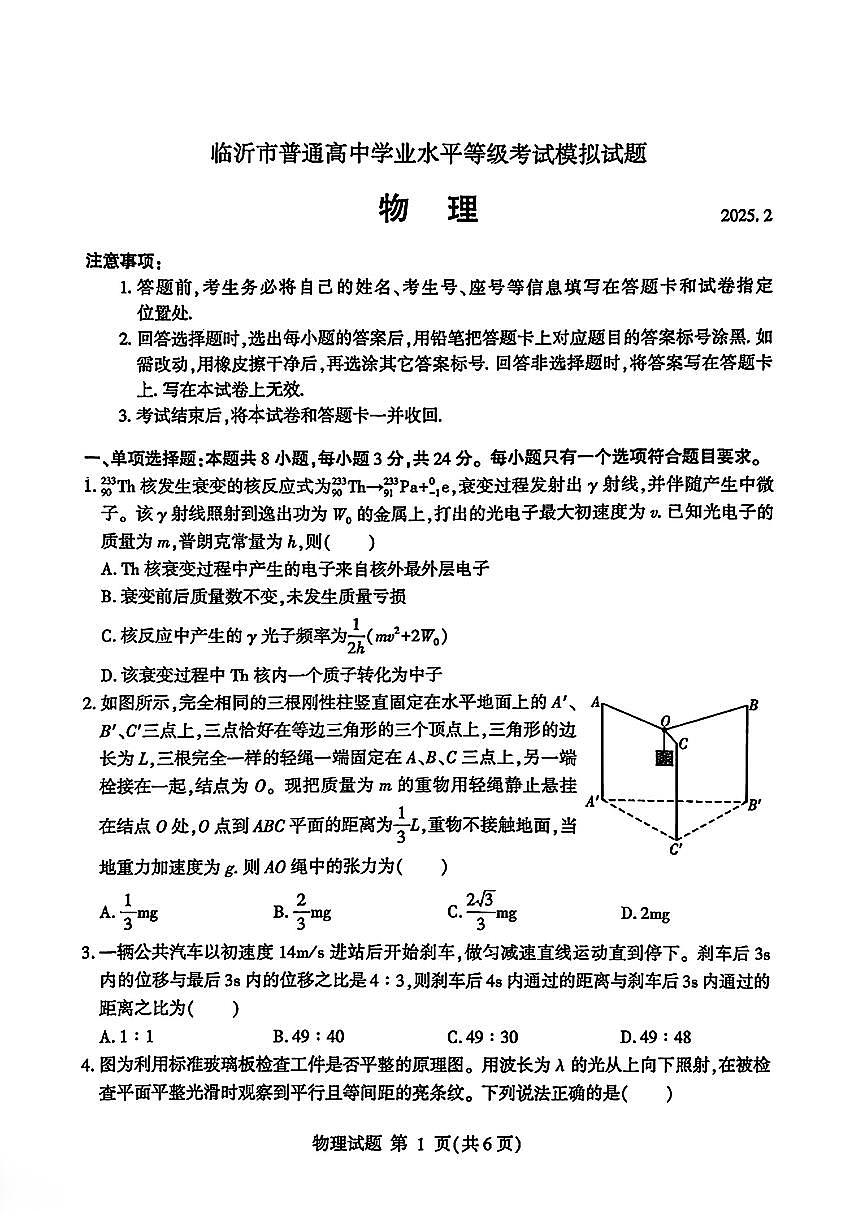 山东省临沂市2025届高三高考模拟一模考试-物理试卷+答案第1页
