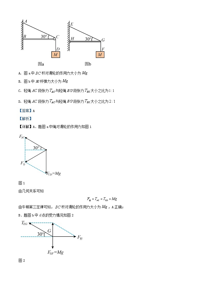 福建省厦门市2023_2024学年高一物理上学期期末质量检测试题含解析第3页