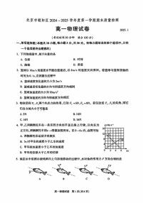 2025北京朝阳高一（上）期末物理试卷（有答案）