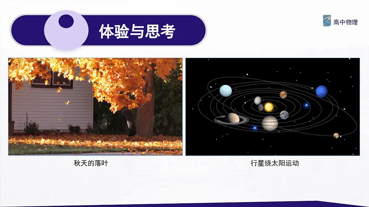 3.1.1 重力与弹力 课件-高一上学期物理人教版（2019）必修第一册第4页