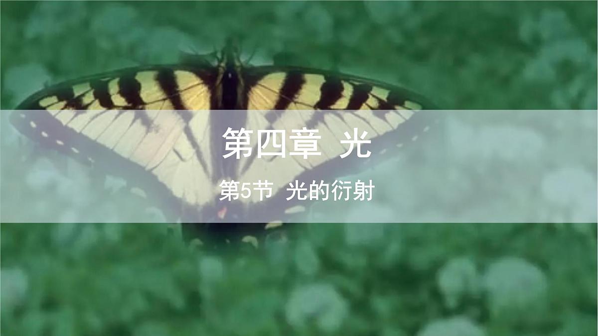 4.5 光的衍射 课件 高二物理人教版（2019）选择性必修1第1页