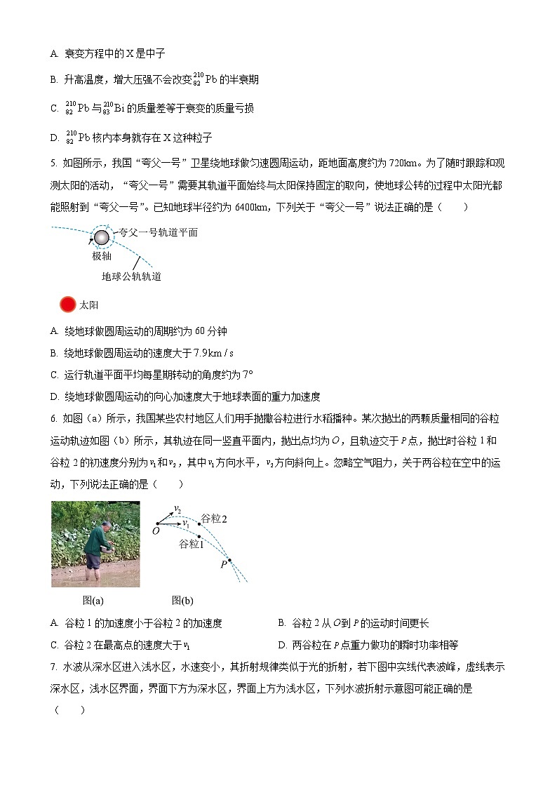 浙江省名校协作体2024-2025学年高三下学期开学物理试题（原卷版+解析版）第2页