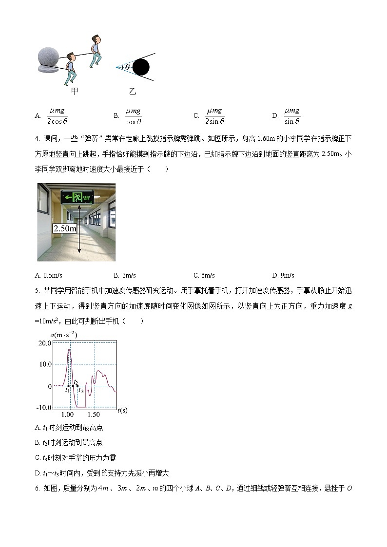江苏省苏州市部分校2024-2025学年高一上学期期末迎考物理试题（原卷版+解析版）第2页