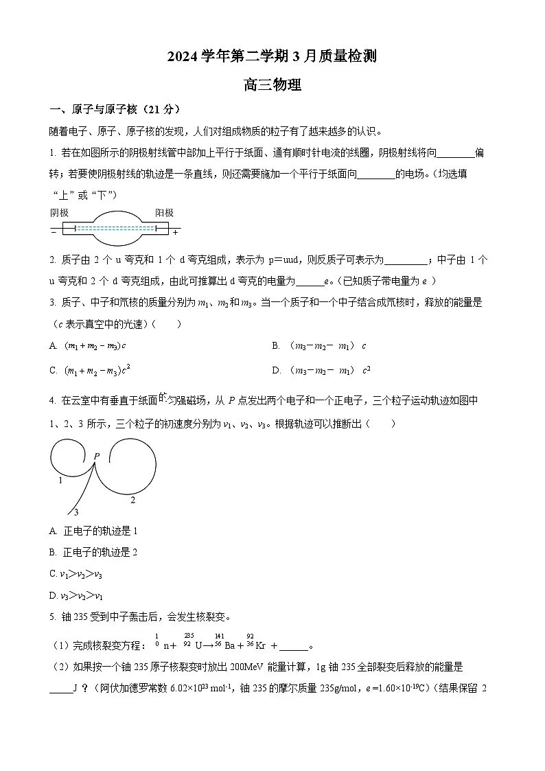 上海市建平中学2024-2025学年高三下学期3月月考物理试卷（原卷版+解析版）第1页