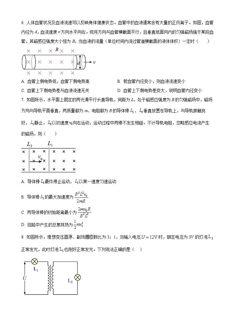 湖北省汉阳一中、江夏一中、洪山高中2024-2025学年高二下学期2月联考物理试卷（原卷版+解析版）第3页