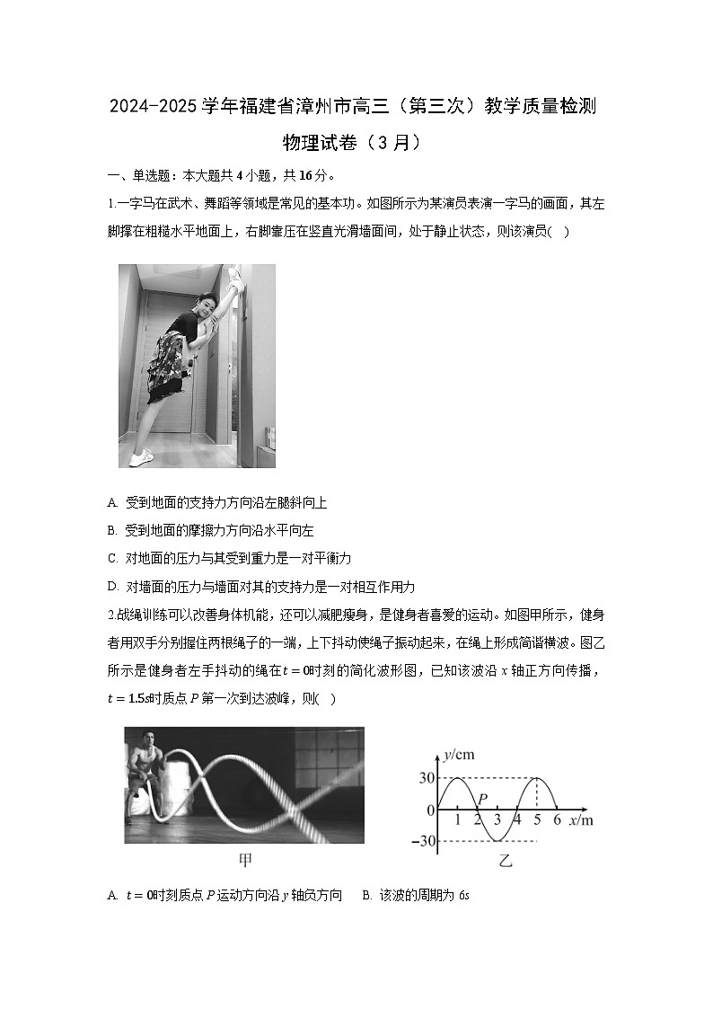 2025届福建省漳州市高三下学期第三次检测物理试题（解析版）第1页