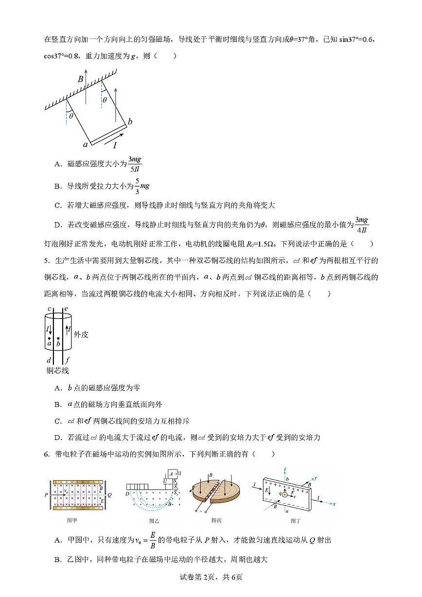 四川省内江市第六中学2024-2025学年高二下学期开学考 物理（含答案）第2页