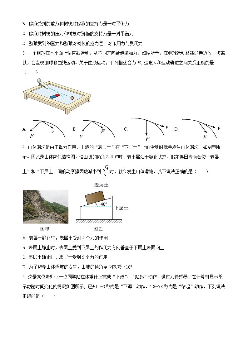 广西百色市普通高中2024-2025学年高一上学期期末教学质量调研物理试题  Word版无答案第2页