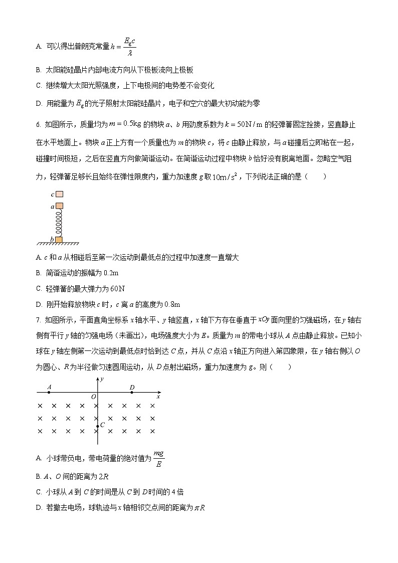 吉林省延边第二中学2024-2025学年高三下学期2月开学适应性考试物理试题（原卷版+解析版）第3页