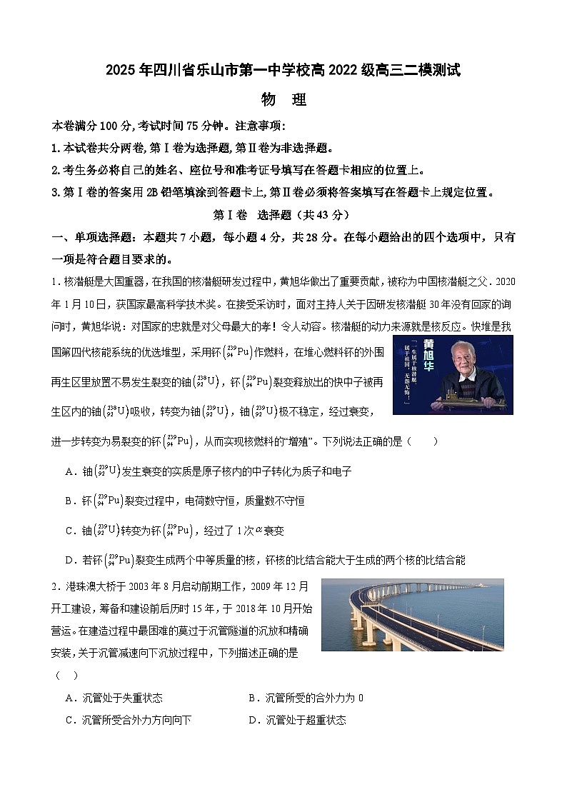 2025年四川省乐山市第一中学校高三高考二模测试物理试题第1页