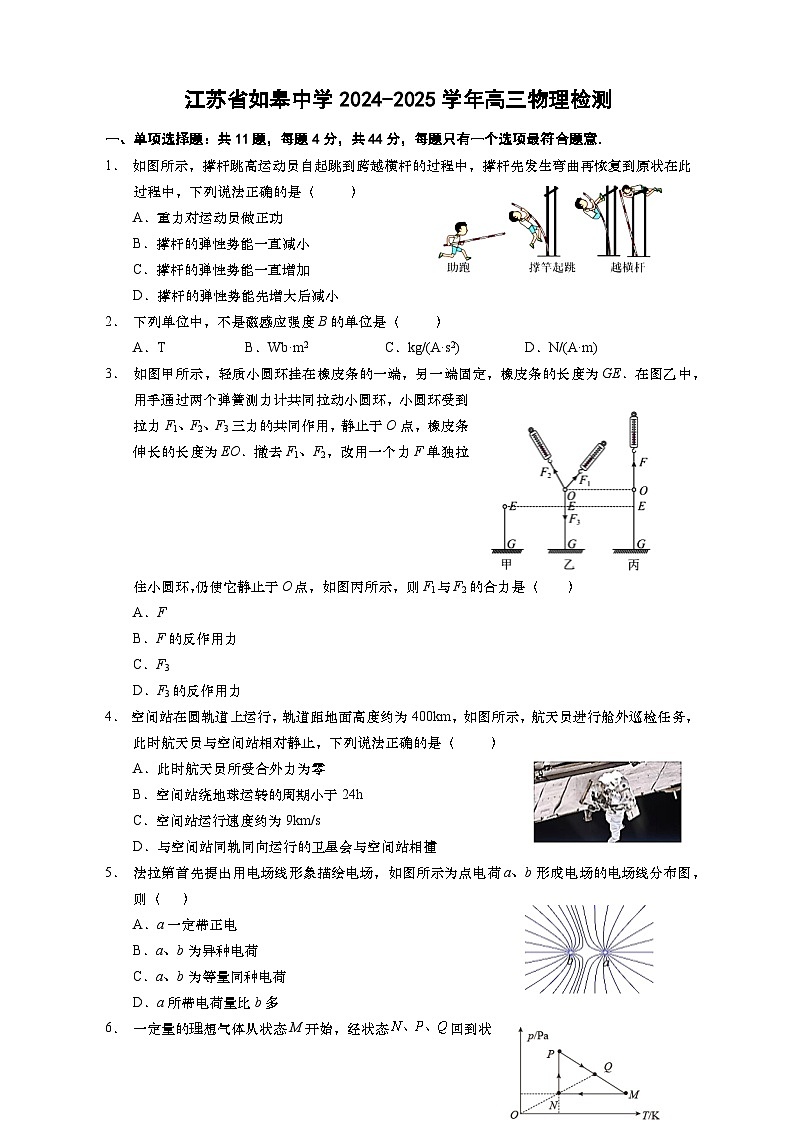 江苏省如皋中学2024-2025学年高三下学期期初检测物理试题第1页
