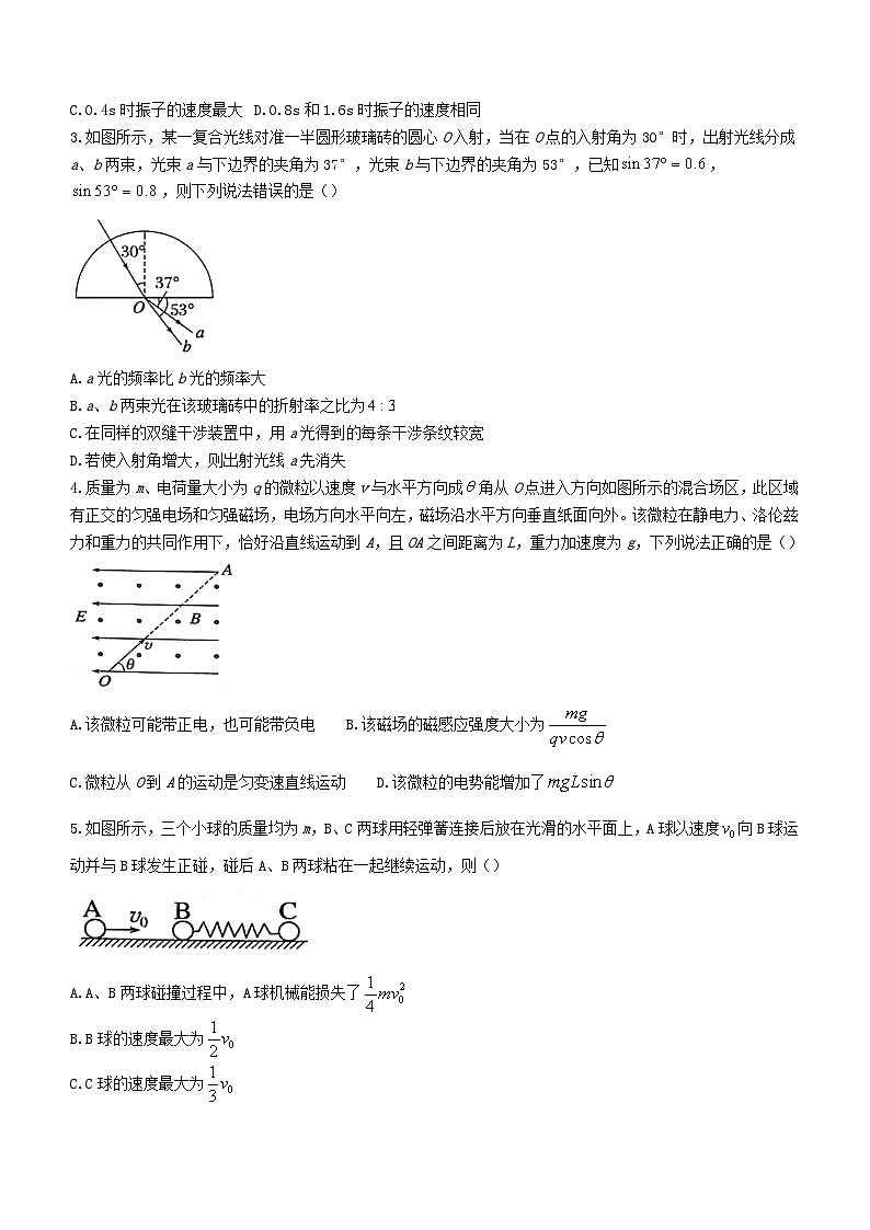 湖北省2023_2024学年高二物理上学期期末考试A卷含解析第2页
