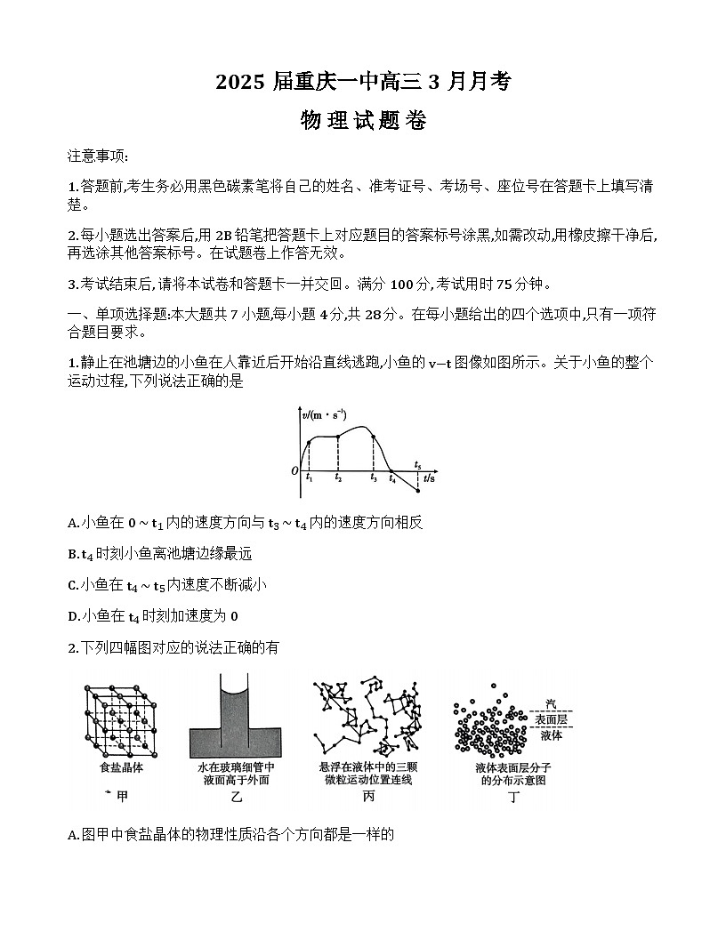 重庆市第一中学校2024-2025学年高三下学期3月月考物理试题第1页