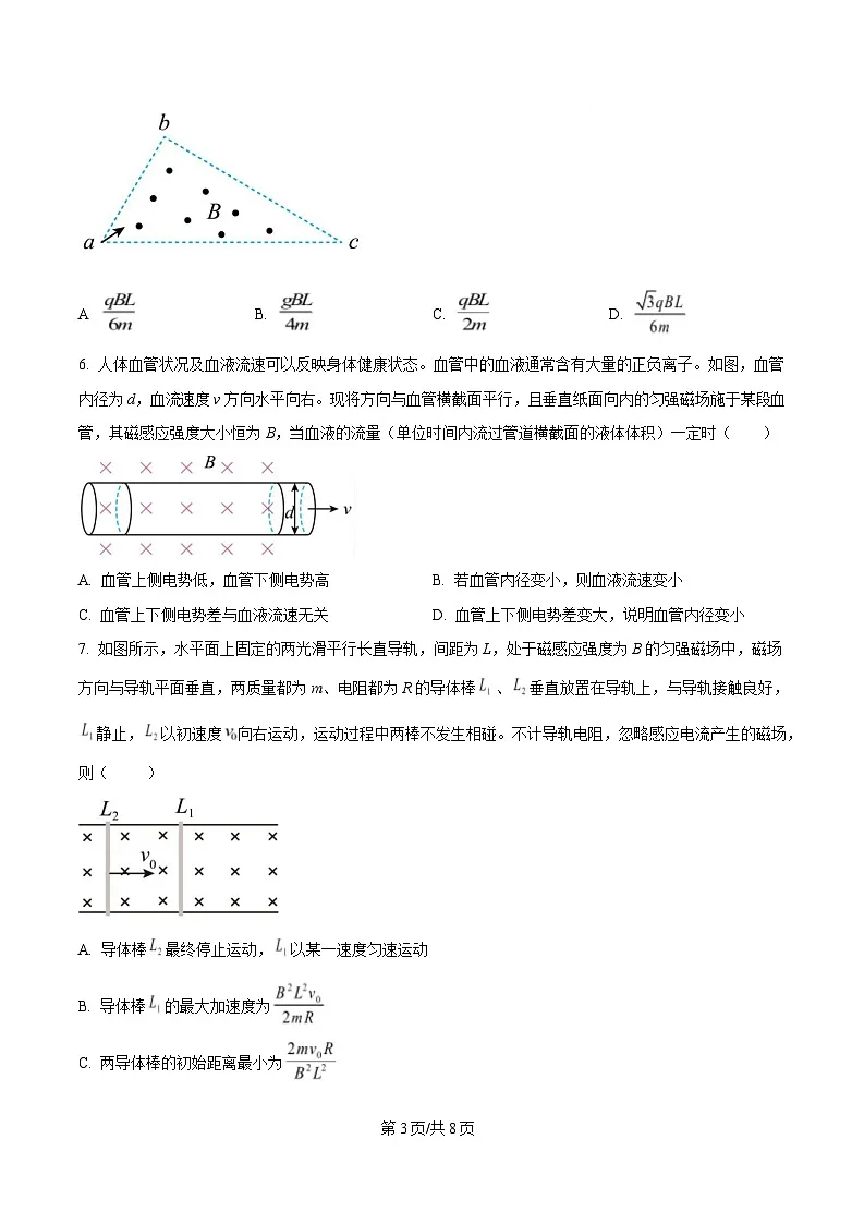 湖北省汉阳一中、江夏一中、洪山高中2024-2025学年高二下学期2月联考物理试卷（原卷版）第3页