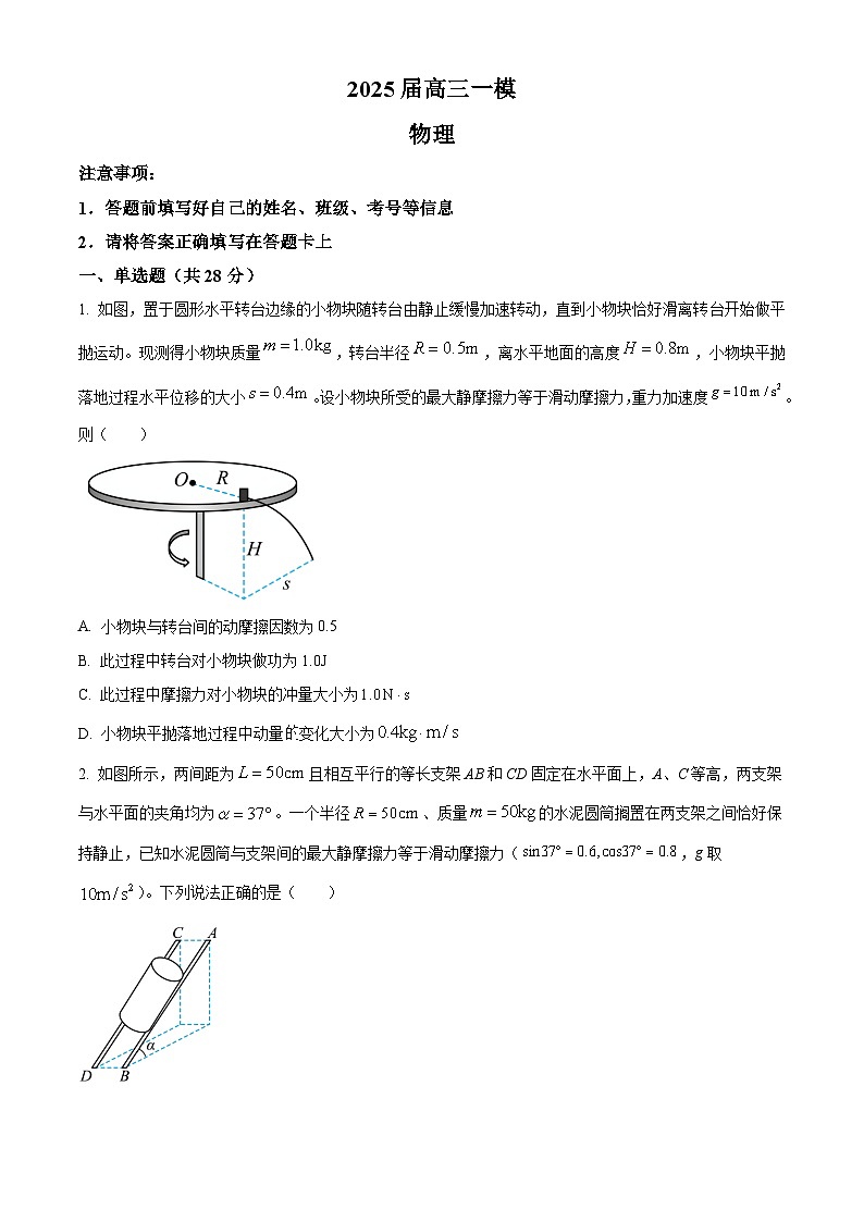 2025届湖南省常德市桃源县第一中学高三下学期一模物理试题（原卷版）第1页